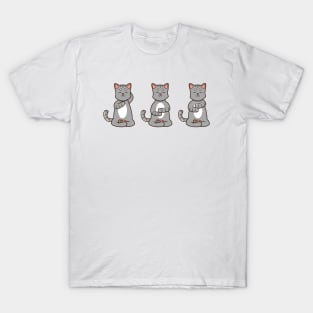 Three cats at reiki T-Shirt